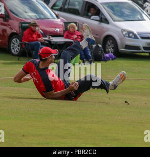The Lawn, Waringstown, Northern Ireland, UK. 29 July, 2018. The Lagan Valley Steels Twenty 20 Cup Final 2018. Waringstown v North Down. Shaheen Khan takes this catch to dismiss Ally Shields. Credit: David Hunter/Alamy Live News. Stock Photo