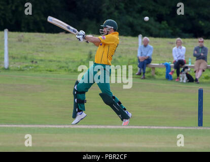 The Lawn, Waringstown, Northern Ireland, UK. 29 July, 2018. The Lagan Valley Steels Twenty 20 Cup Final 2018. Waringstown v North Down. Ryan Haire in action for North Down. Credit: David Hunter/Alamy Live News. Stock Photo