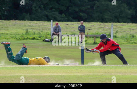 The Lawn, Waringstown, Northern Ireland, UK. 29 July, 2018. The Lagan Valley Steels Twenty 20 Cup Final 2018. Waringstown v North Down. A North Down batsman justs makes it into the crease. Credit: David Hunter/Alamy Live News. Stock Photo