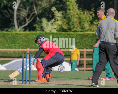 The Lawn, Waringstown, Northern Ireland, UK. 29 July, 2018. The Lagan Valley Steels Twenty 20 Cup Final 2018. Waringstown v North Down. Waringstown batsman James Hall on his way to an unbeaten 91. Credit: David Hunter/Alamy Live News. Stock Photo