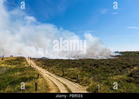 Controlled burning of old and dry heather at Morsum Cliff, Germany. Stock Photo