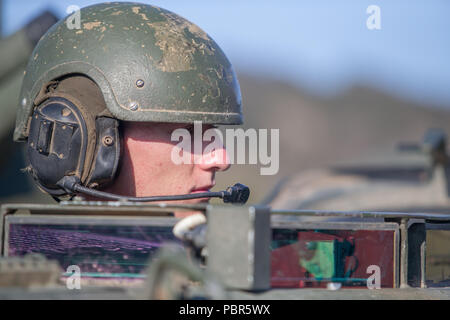 Light Armored Vehicle-25 is an eight-wheeled amphibious armored ...