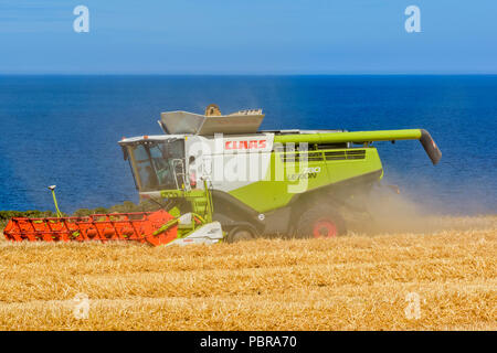 COMBINE HARVESTER ON A BARLEY FIELD OVERLOOKING THE SEA AND MORAY FIRTH SCOTLAND Stock Photo