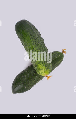 Two fresh green cucumbers close up. White isolated background, cut out. Stock Photo