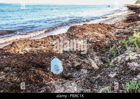 An empty plastic bottle on beach at Cayman Island