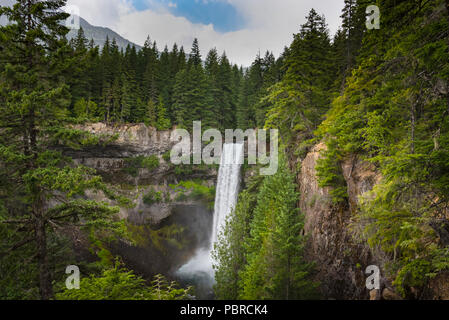 A magestic waterfall cascades from a douglas fir forest into a canyon at the foot of a mountain in British Columbia Canada Stock Photo