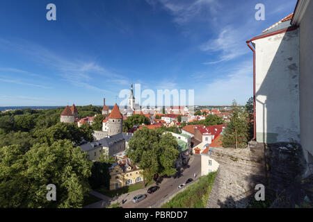 City walls' and St. Olaf's (or Olav's) church's towers and other buildings at the Old Town in Tallinn, Estonia, viewed from above in the summer. Stock Photo