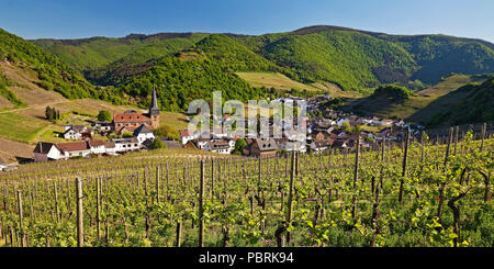 View over the vineyards to the place Mayschoss, Ahrtal, Eifel, Rhineland-Palatinate, Germany Stock Photo