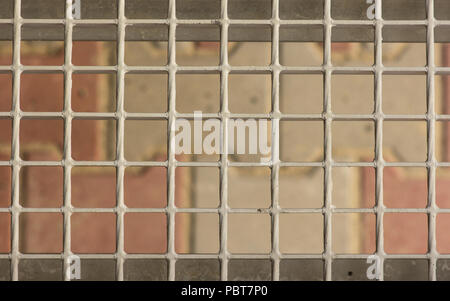 Metal lattice on the steps of the porch, close-up Stock Photo