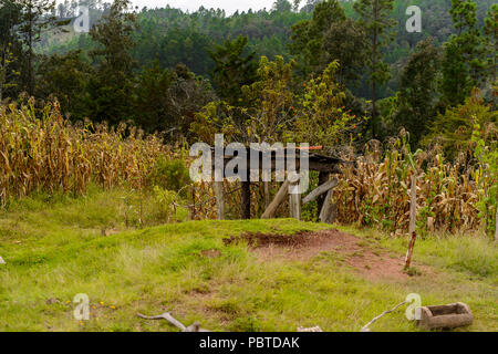 Architrecture and nature of the One of the maya villages in Chiapas state of Mexico. Stock Photo