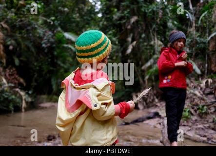 Two children playing near a rainforest stream, Kauri Creek walk, Jungal Jungal, Danbulla, Tablelands Region, Far North Queensland, Australia Stock Photo