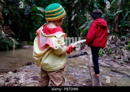 Two children playing near a rainforest stream, Kauri Creek walk, Jungal Jungal, Danbulla, Tablelands Region, Far North Queensland, Australia Stock Photo