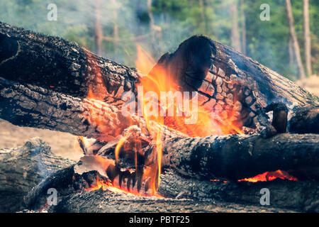 The image of logs in the burning fire. Flame of the burning fire. The image has color toning. Stock Photo