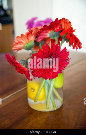Closeup of Transvaal daisy (Gerbera) flower bouquet in a vase Stock Photo