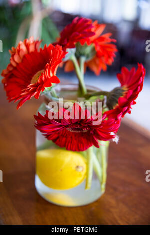 Closeup of Transvaal daisy (Gerbera) flower bouquet in a vase Stock Photo