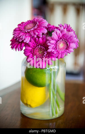 Closeup of Transvaal daisy (Gerbera) flower bouquet in a vase Stock Photo