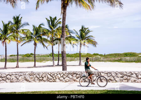 Miami Beach Florida,Lummus Park,Asian man men male,cyclist,bicycle,bicycling,riding,biking,rider,bike,coral stone wall,palm trees,tree,bike path,recre Stock Photo