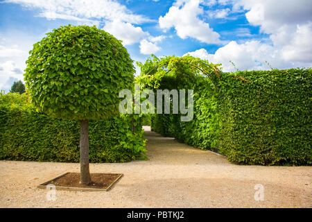 Park of Rundale palace Stock Photo