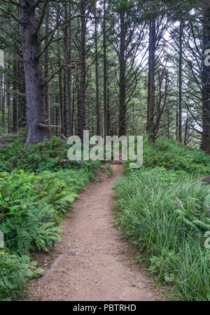 Long dirt walking trail winds through the greenery and woods. Stock Photo
