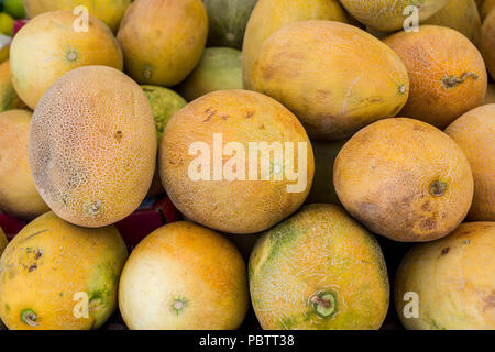 Melons in market Stock Photo