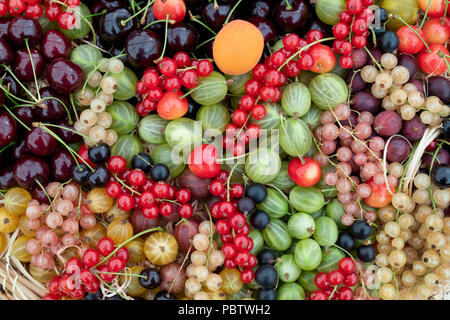 Selection of fruit in a basket on display at RHS Tatton park flower show 2018, Cheshire. UK Stock Photo