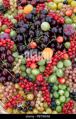 Selection of fruit in a basket on display at RHS Tatton park flower show 2018, Cheshire. UK Stock Photo