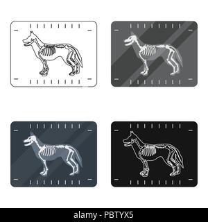 animal,art,breed,care,cartoon,clinic,custody,design,dog,domestic,emergency,health,hospital,hygiene,icon,illustration,isolated,logo,medical,medicine,pet,protect,protection,puppy,radiography,rescue,shelter,sick,sitter,skeleton,symbol,team,vector,vet,veterinarian,veterinary,web,x-ray, Vector Vectors , Stock Vector
