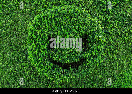 Art topiary in shape of smiling face. Smiley emoji, summer time, good mood concept. Natural green leaves abstract background. Stock Photo