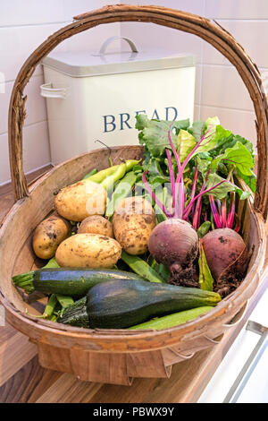 Freshly harvested vegetables from a allotment Stock Photo