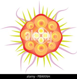 Virus abstract flat icon, orange bacteria with tentacles, flu under a microscope. Virus disease cell vector logo, microorganism top view on white background. Colorful germ. Stock Vector