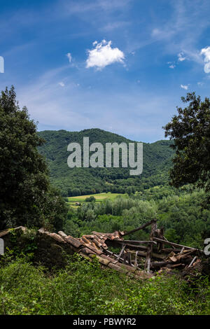 old abandoned roof collapsed farm house in pedmont northen italy Stock ...