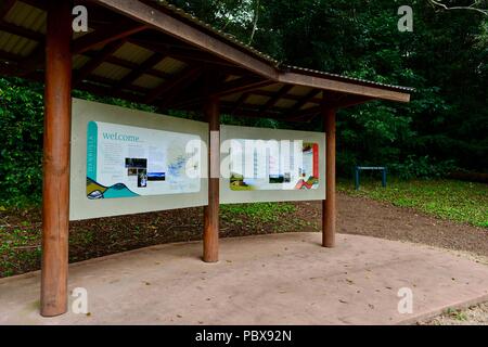 Information signs on the The Cathedral Fig Tree Ficus virens, A huge strangler fig, Atherton Tablelands, QLD, Australia Stock Photo