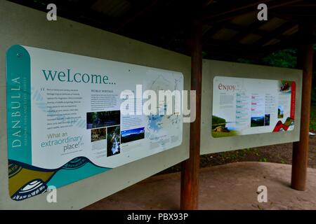 Information signs on the The Cathedral Fig Tree Ficus virens, A huge strangler fig, Atherton Tablelands, QLD, Australia Stock Photo