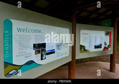 Information signs on the The Cathedral Fig Tree Ficus virens, A huge strangler fig, Atherton Tablelands, QLD, Australia Stock Photo