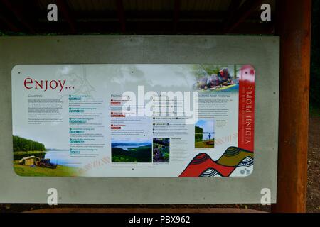 Information signs on the The Cathedral Fig Tree Ficus virens, A huge strangler fig, Atherton Tablelands, QLD, Australia Stock Photo