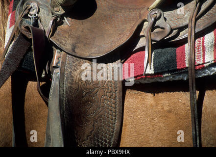 Saddle on horse, Jordan Valley, Oregon Stock Photo