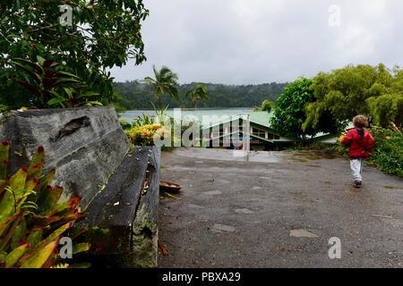 Lake Barrine Teahouse, Crater Lakes National Park, Atherton Tablelands, QLD, Australia Stock Photo