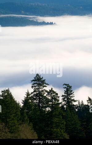 Willamette Valley fog from Mt Pisgah summit, Howard Buford County Park, Lane County, Oregon Stock Photo