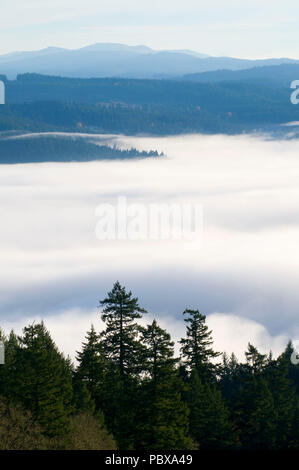 Willamette Valley fog from Mt Pisgah summit, Howard Buford County Park, Lane County, Oregon Stock Photo