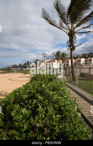 Palm tree hedges and coastal boardwalk above the sandy beach at Ballito a holiday town located in KwaZulu-Natal, South Africa Stock Photo