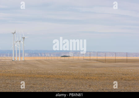 Electricity generating windmills in a wheat field in central Oregon, USA. Stock Photo