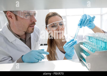 two scientists doing tests in the laboratory. Stock Photo