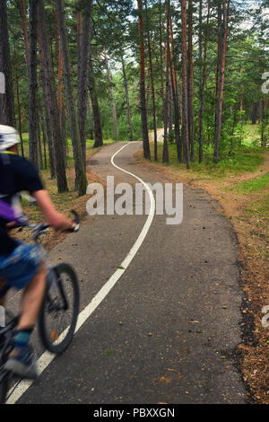 A cyclist rides along the white line of bikeways in a pine summer forest Stock Photo