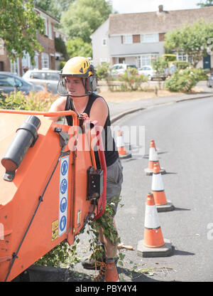 Tree surgeon using a working wood chipper machine Stock Photo