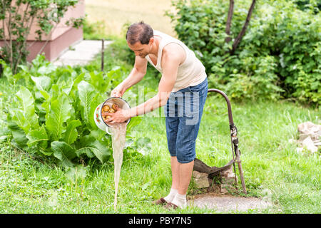 Young man farmer in garden rinsing dirt from homegrown potatoes in green summer in Ukraine, horseradish leaves plant, well faucet, building house outs Stock Photo