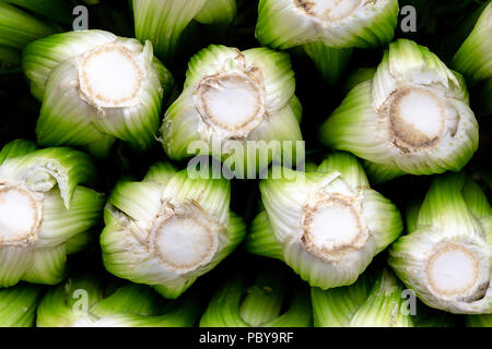 A stack of fresh celery heads, Apium graveolens, for sale at a market. This fibrous vegetable is known for antioxidant health benefits. Stock Photo