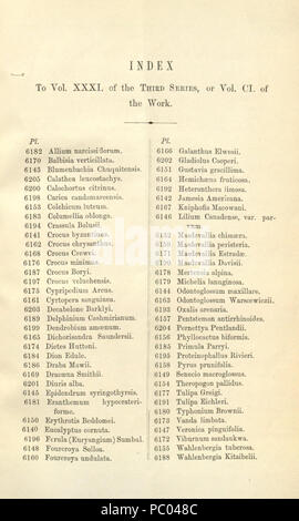 296 Index - Curtis' 101 (Ser. 3 no. 31) (1875) Stock Photo