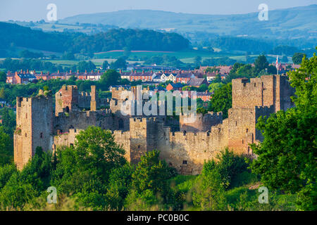 Ludlow Castle, Shropshire, England, United Kingdom, Europe Stock Photo