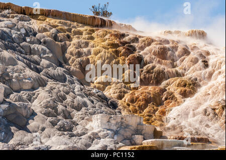 Mammoth Hot Springs in winter at Yellowstone National Park Stock Photo