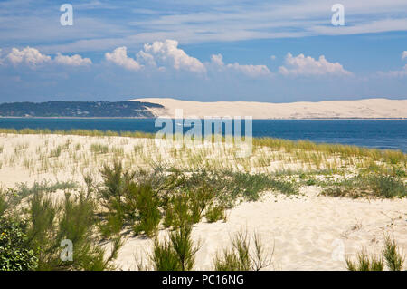 Cap Ferret, Arcachon, Gironde, France. Stock Photo